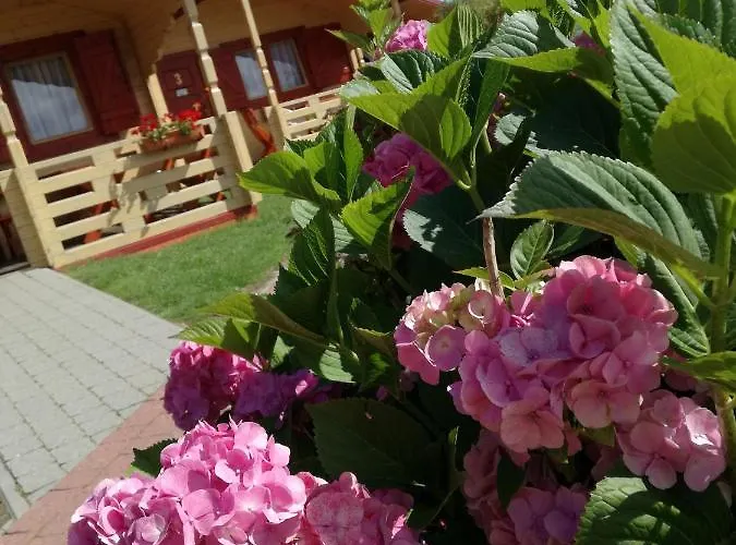 Lodge Drewniane Ow Latarnik *